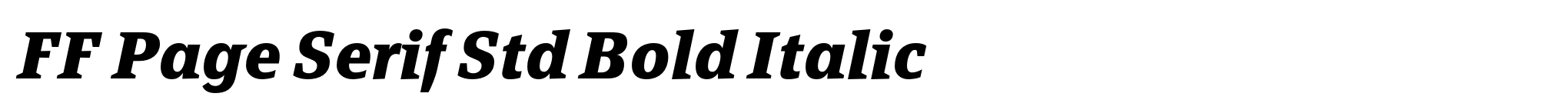 FF Page Serif Std Bold Italic image